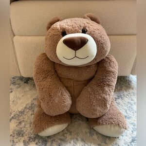 Adorable Brown Plush Teddy Bear